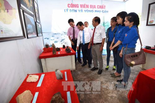 Trưng bày chuyên đề “Quảng Ngãi - Di sản văn hóa biển, đảo” ảnh 1